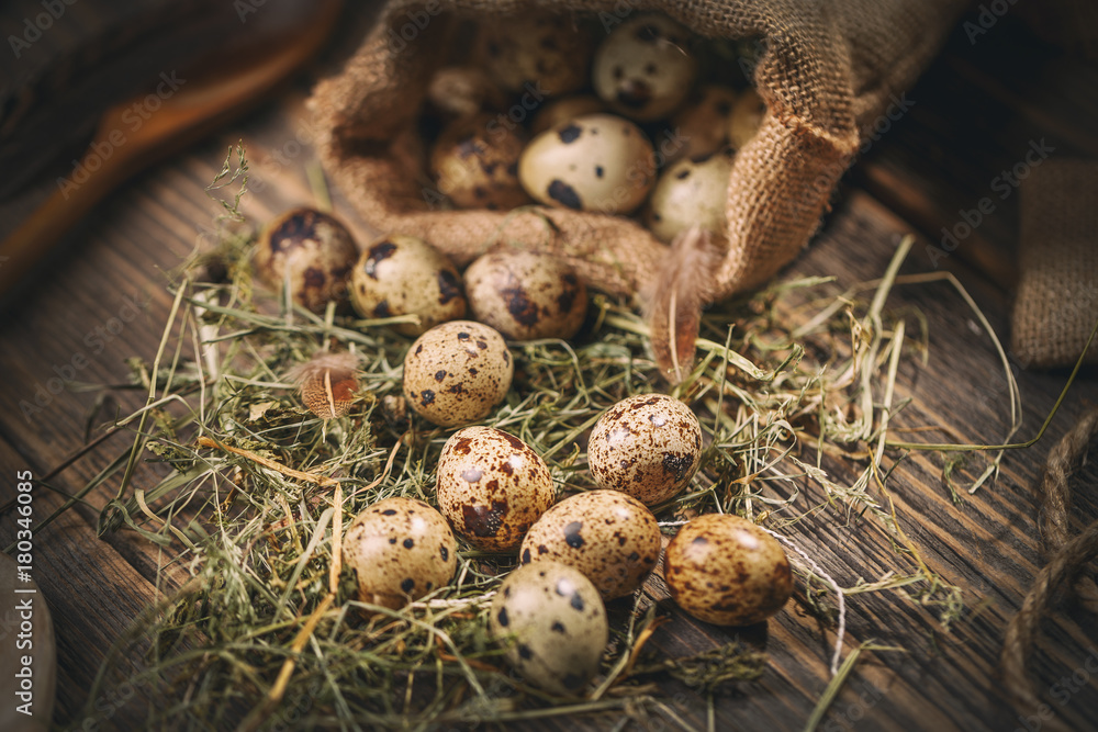 Obraz premium Some quail eggs
