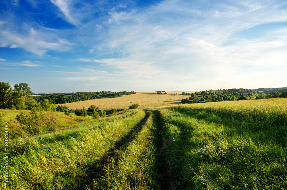 Obraz premium Sunny summer landscape with dirt rural road.Traveling through the countryside.Tula region,Russia 