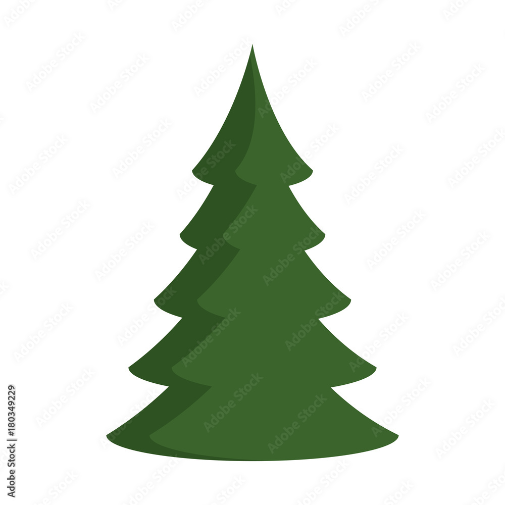 pine tree plant isolated icon vector illustration design pine tree plant isolated icon vector illustration design