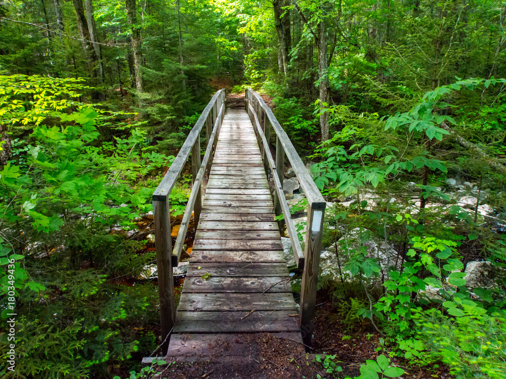 Wooden Bridge, Green Mountains Vermont, Appalachian Trail Wooden Bridge, Green Mountains Vermont, Appalachian Trail