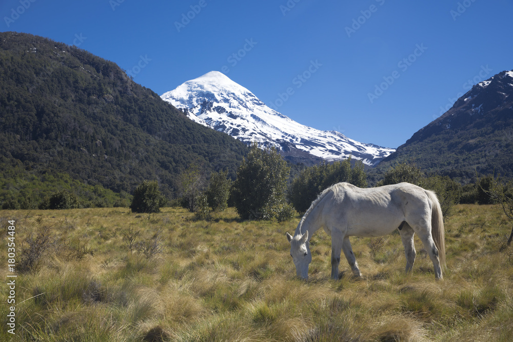 Fototapeta premium Cara sur del Volcán Lanin en el parque Nacional Lanin, Neuquén, Argentina
