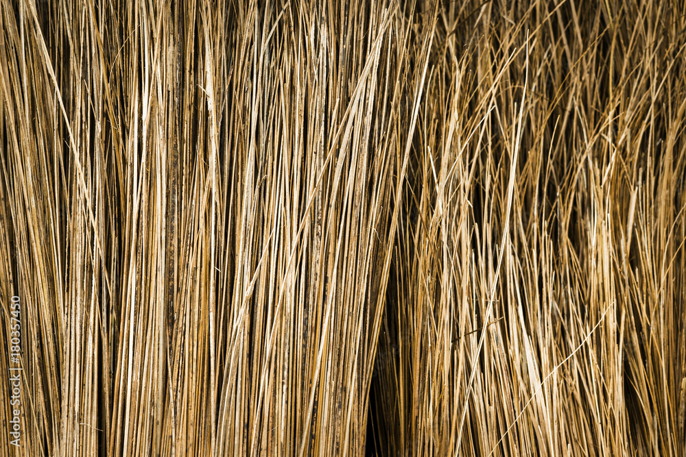 Close-up of grass broom as abstract background Close-up of grass broom as abstract background