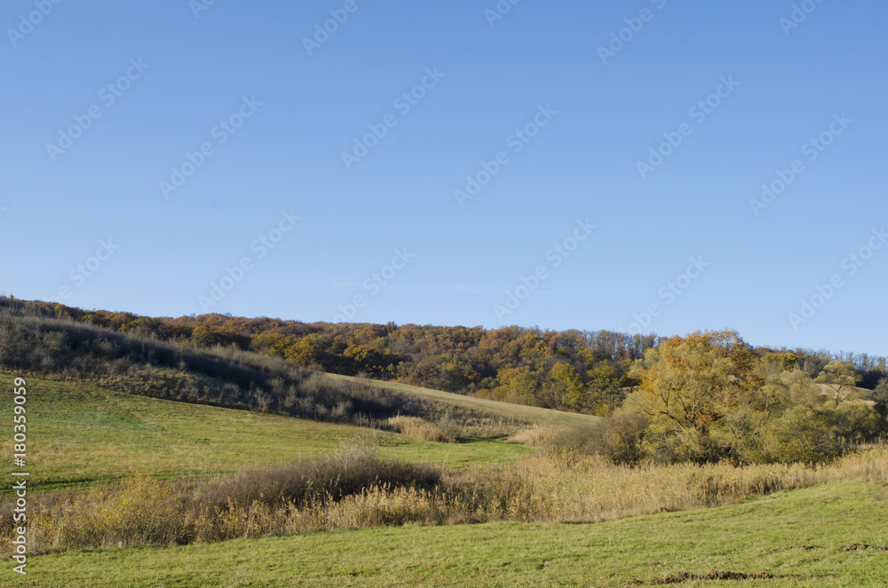 Autumn landscape of colored forest and meadow