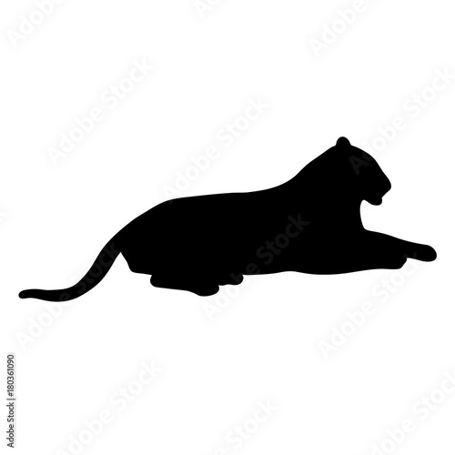 Fototapeta Naklejka Na Ścianę i Meble -  black silhouette of lying tiger on white background of vector illustration
