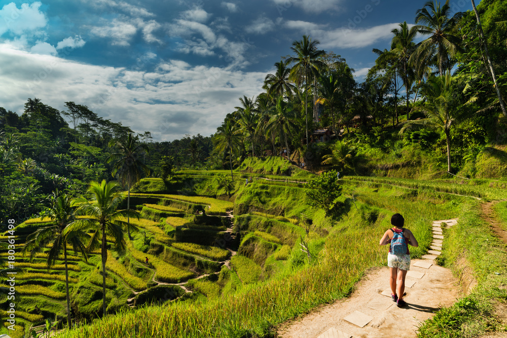 Tourist woman walking Tellalang rice fields - Ubud - Bali - Indonesia 