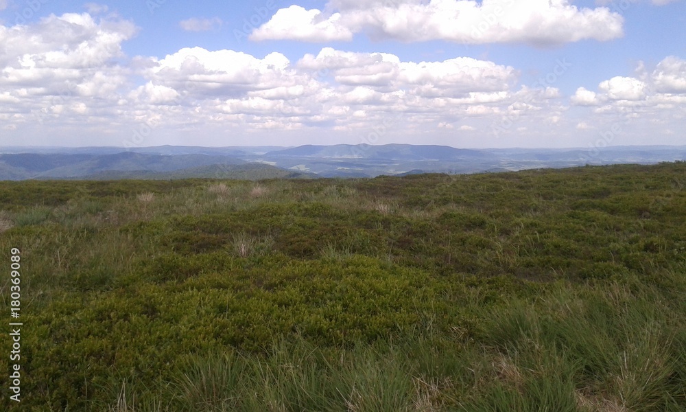 hills forest clouds sky grass hills forest clouds sky grass