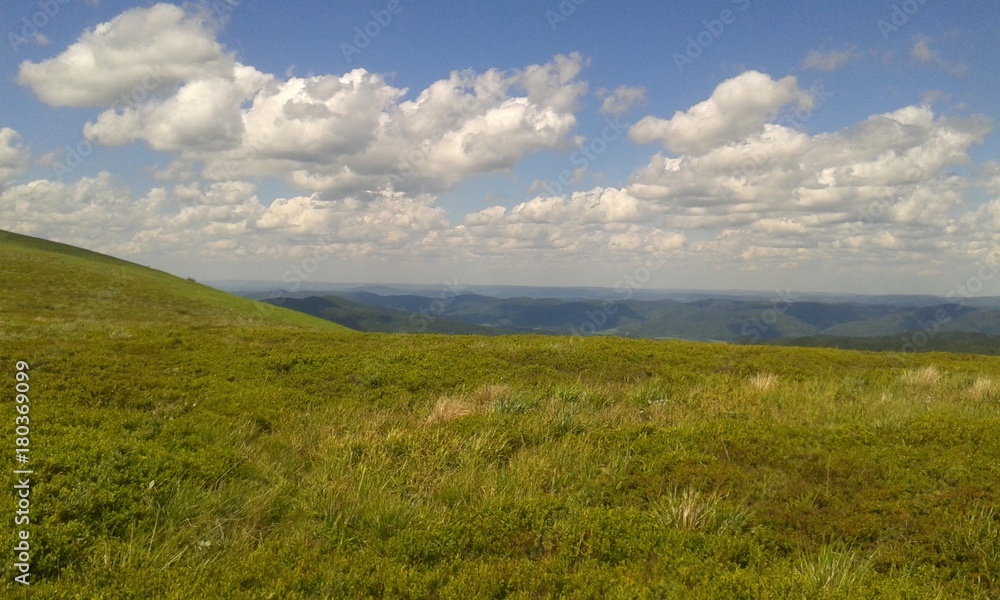 hills forest clouds sky grass