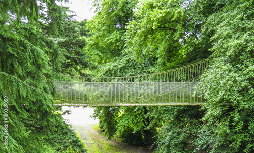 Alnwick wooden Treehouse  wooden and rope bridge within trees  Alnwick Garden   in the English county of Northumberland  UK