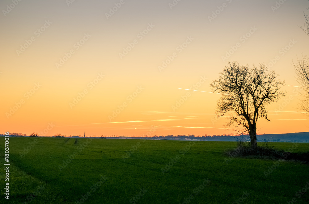 Sunset over a green spring field. Sunset over a green spring field.