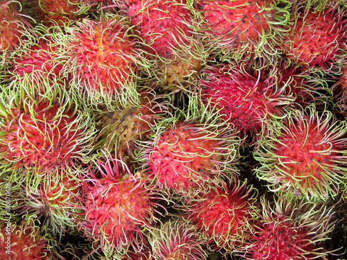 Rambutan, Nephelium Lappaceum, the lychee like fruit with long hooked spines, Costa Rica, Central America