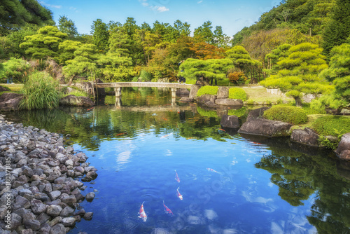 Koko-en Garden. Pond with oily red carps. Park in Japanese style. Autumn colors. Himeji, Japan