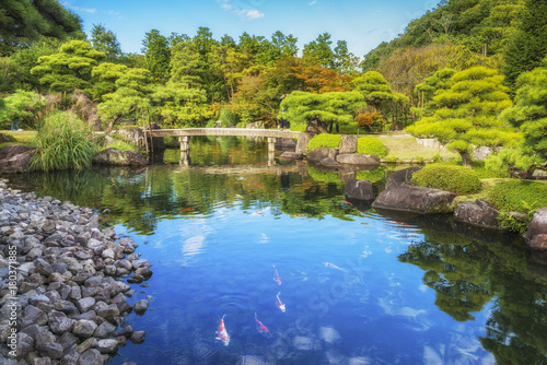 Koko-en Garden. Pond with oily red carps. Park in Japanese style. Autumn colors. Himeji  Japan