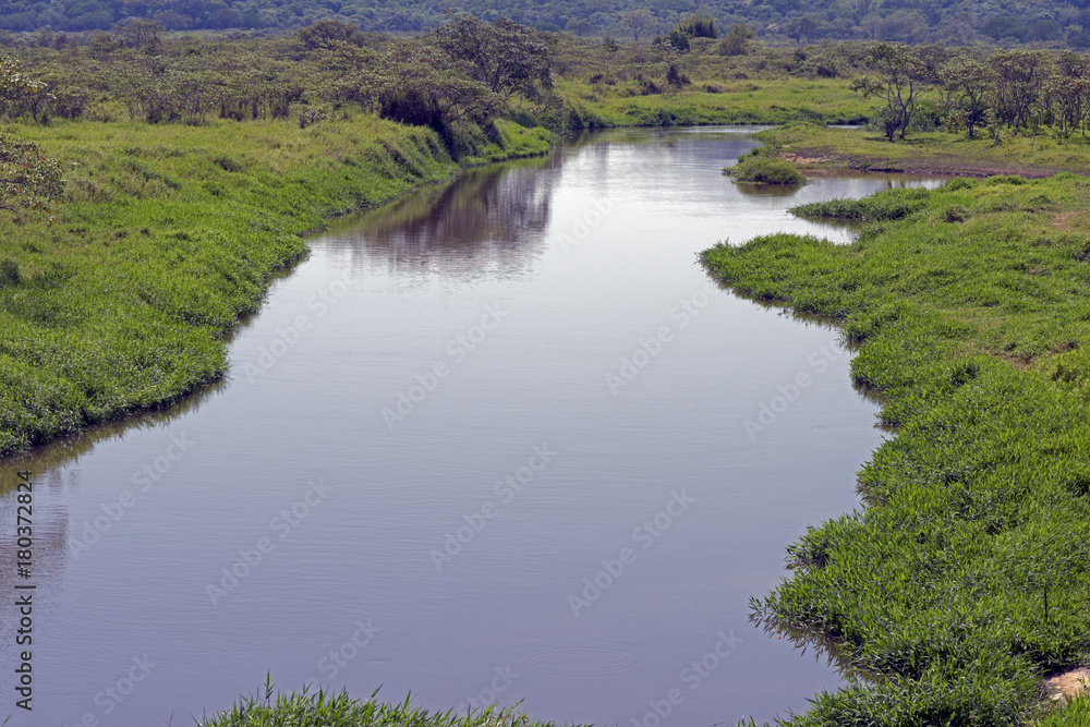 Obraz premium A river running quietly among green field
