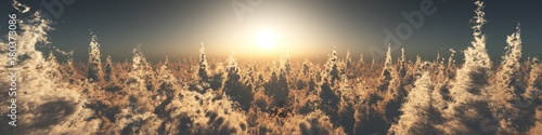 Sun over the clouds, panorama of the sunset over the clouds, winter landscape, banner, 3d rendering