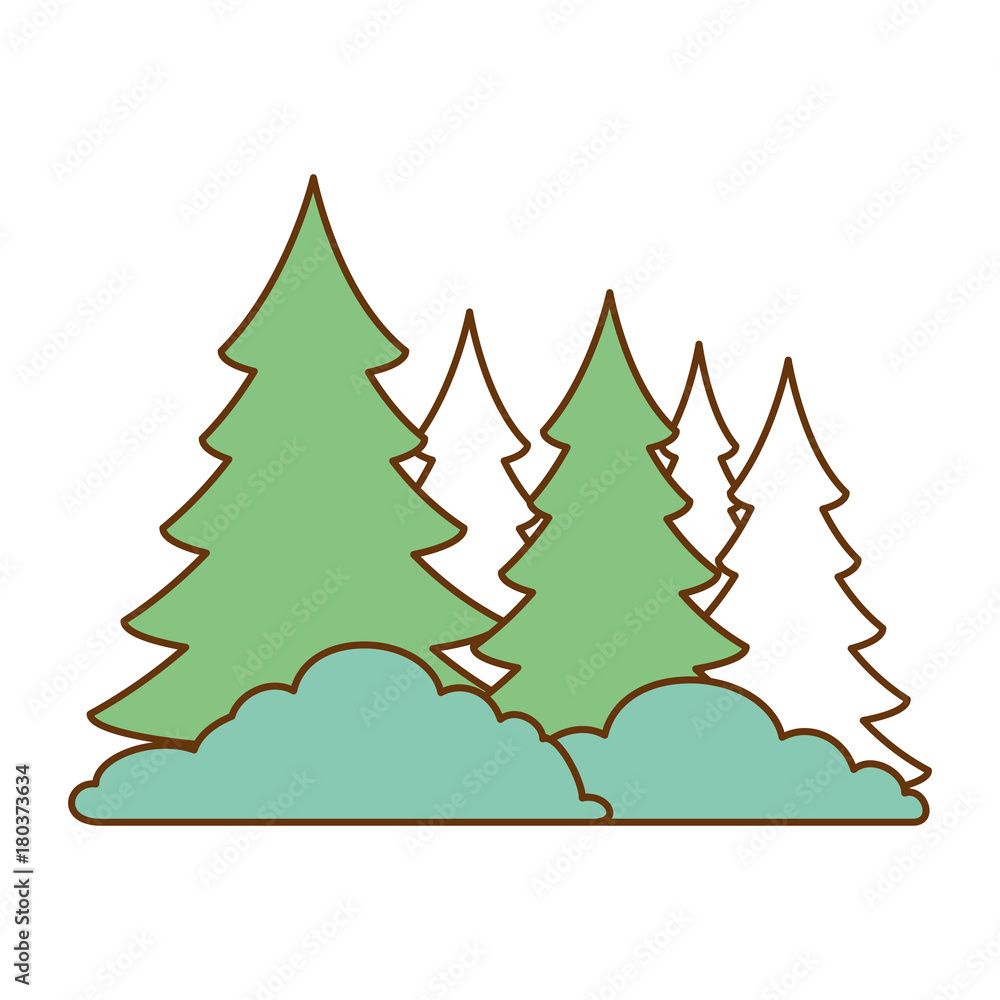 pine forest scene icon vector illustration design