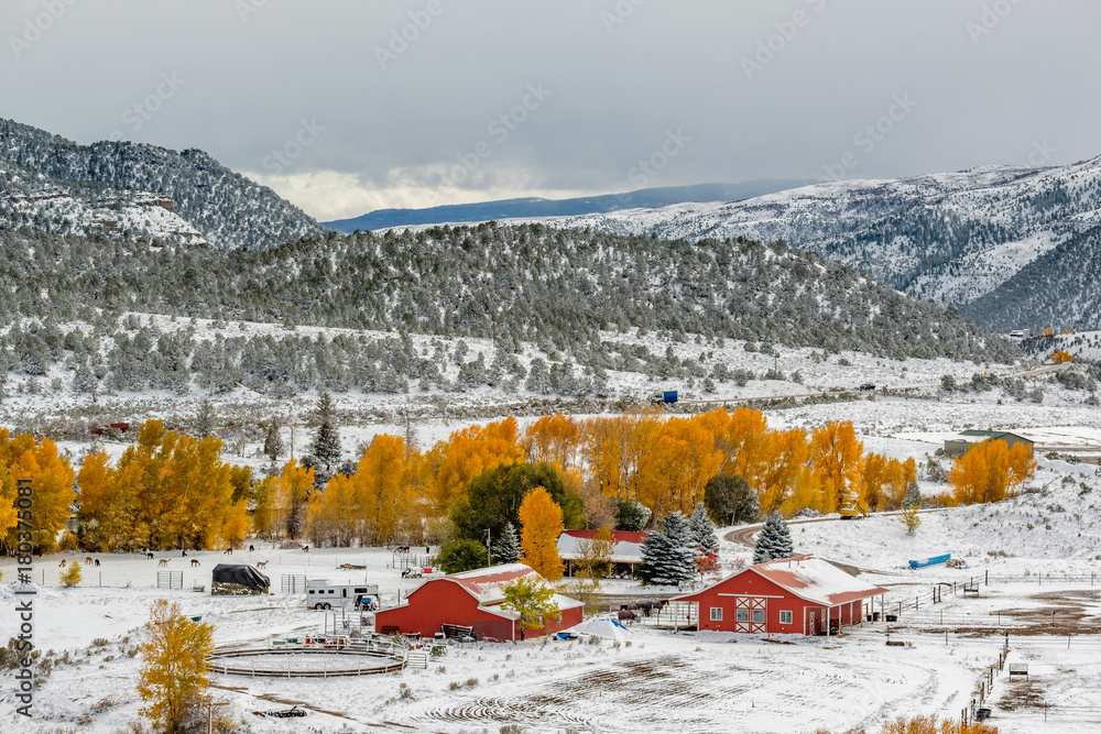 Season changing, first snow and autumn trees