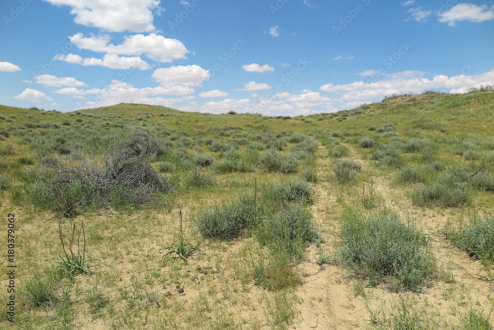 Desert road in the spring desert of the Western Kazakhstan