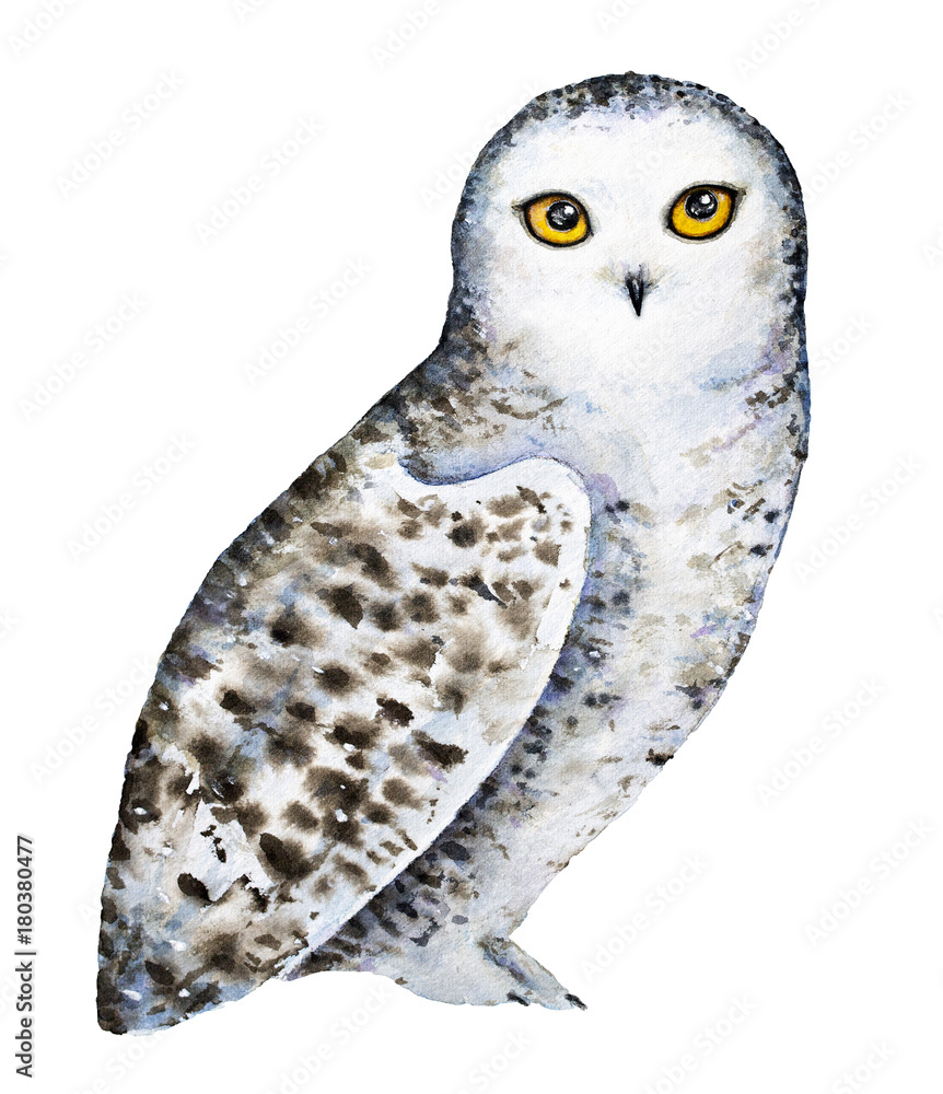Obraz premium Snowy polar owl portrait. Full length body, standing. Big round yellow orange eyes, black beak, white plumage with brown dots and spots. Hand drawn watercolor illustration isolated, white background.