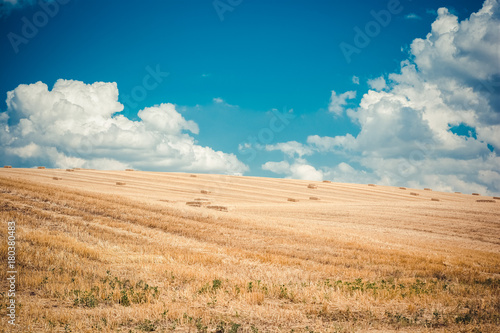 A newly harvested field with straw bales on the background of a blue cloudy sky