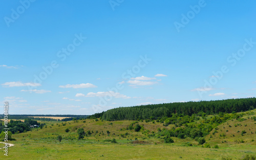 summer green landscape view