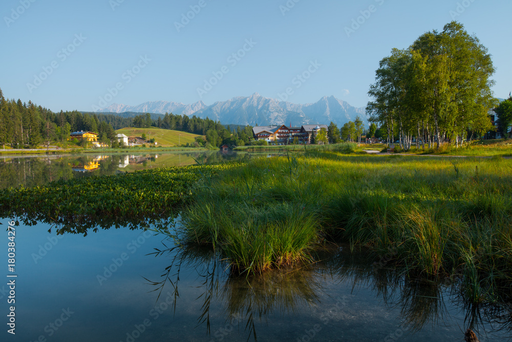 Green grass and trees on a coast of Alpine lake Seefeld, Austria