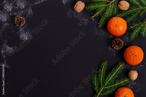 Orange tangerines with spruce branches on a black