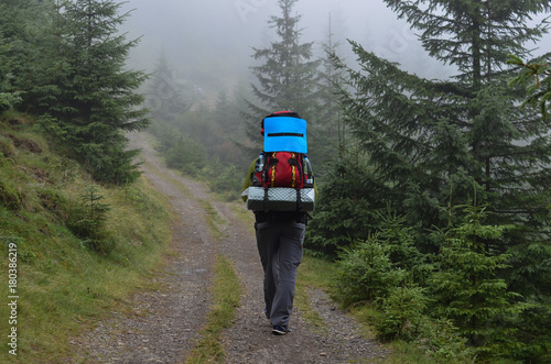 hiker walking on misty forest road