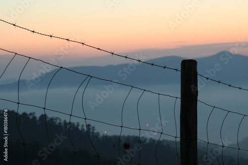 Dawn behind the fence  photo