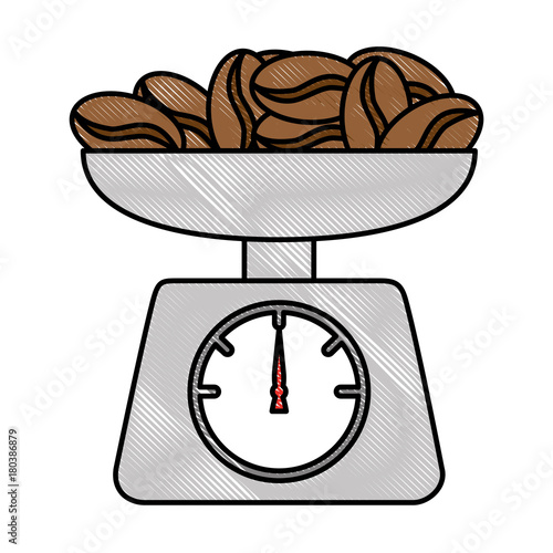 gramer with coffee seeds isolated icon vector illustration design