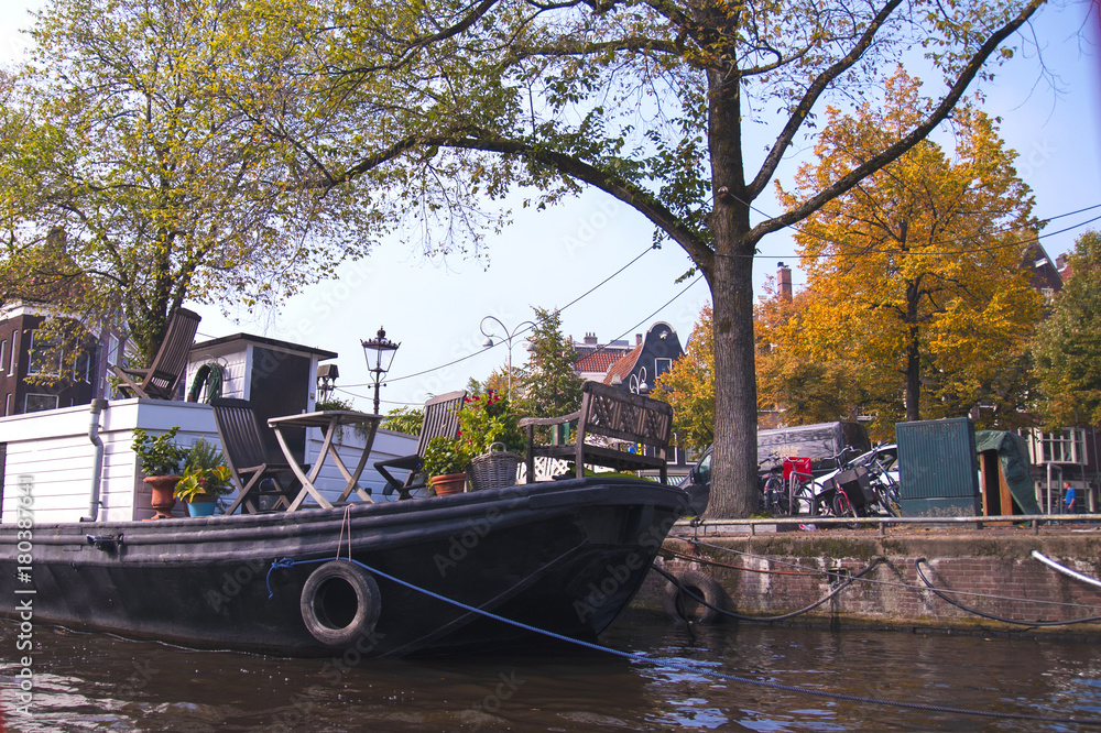 Obraz premium city on the river
