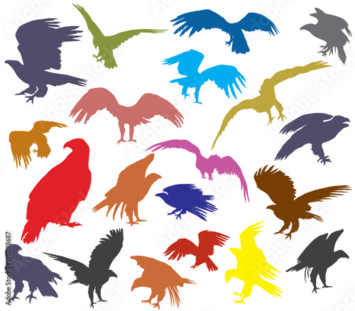 Set of colorful vector american eagle silhouettes