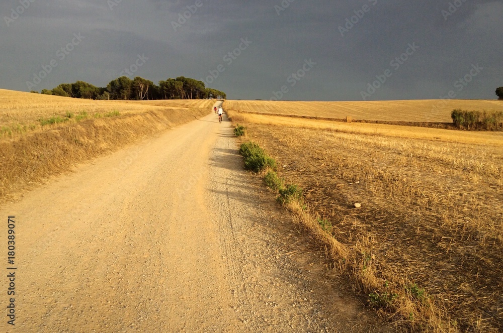 Naklejka premium Salidas