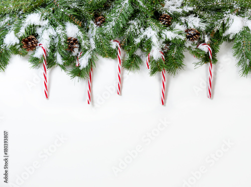 Christmas snowy tree branches and candy cane ornaments on white background