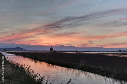 Rojiza puesta de sol sobre los arrozales del Delta del Ebro photo