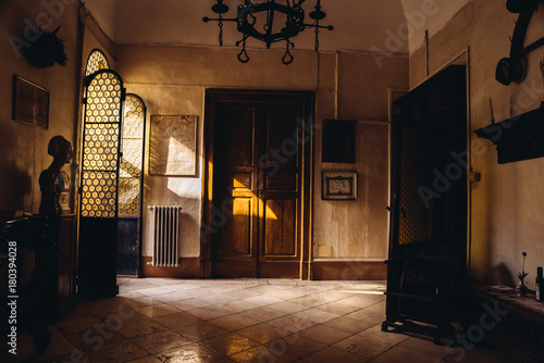 Aristocratic room with sun photo