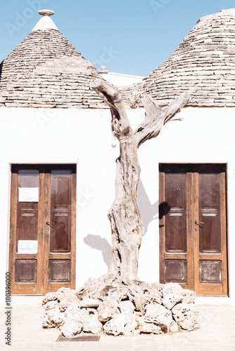 Alberobello typical Trullo houses made by volcanic stones photo