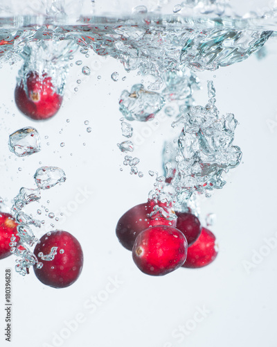 Cranberries frozen in water 3
