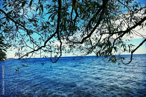 Landscapes