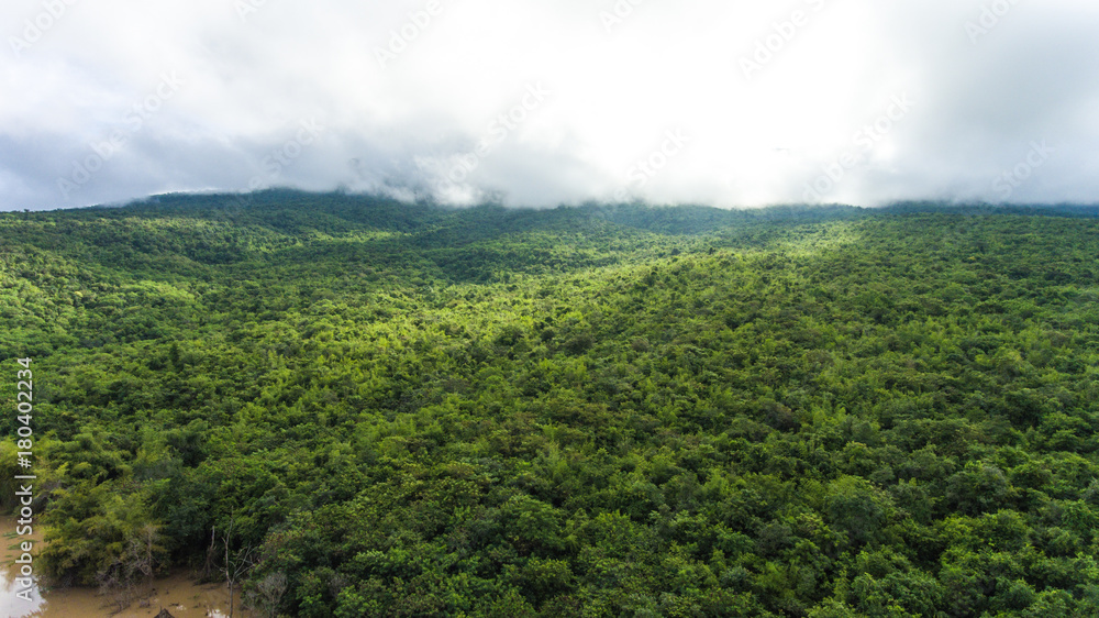 Obraz premium Aerial view of the forest.Thailand 
