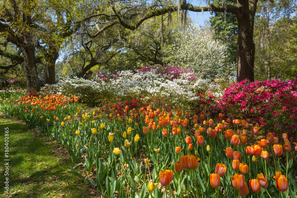 Public garden in Wilmington North Carolina Public garden in Wilmington North Carolina