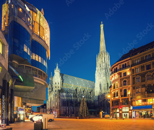 St. Stephan cathedral and christmas tree, Vienna
