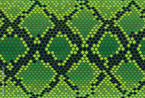 Vector seamless texture with a reptile skin, snake skin photo