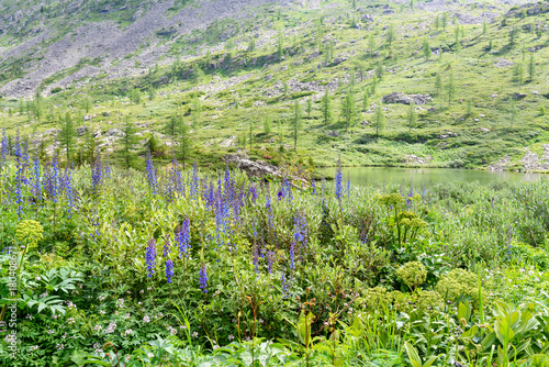 View on Third Lake of Karakol lakes in Altai Republic. Russia photo