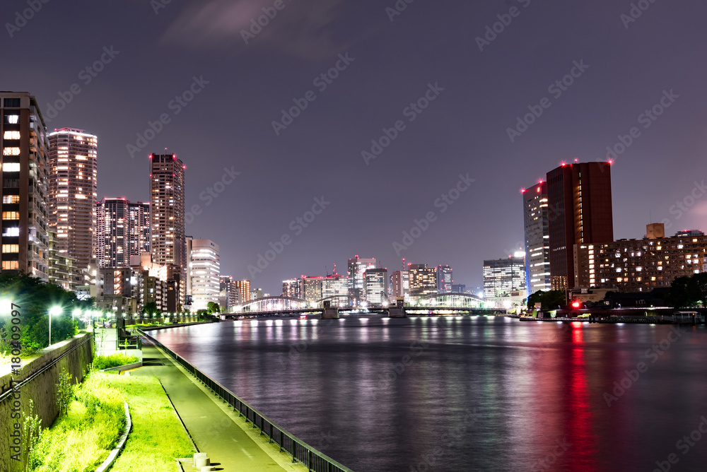 Fototapeta premium 東京の夜景