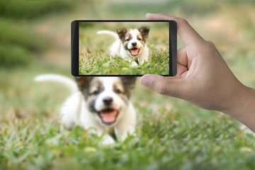 taking photo with mobile