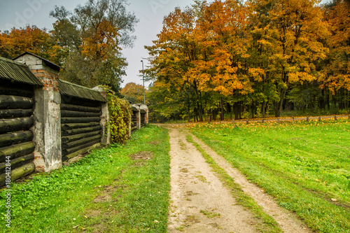 Roadn after rain in autumn