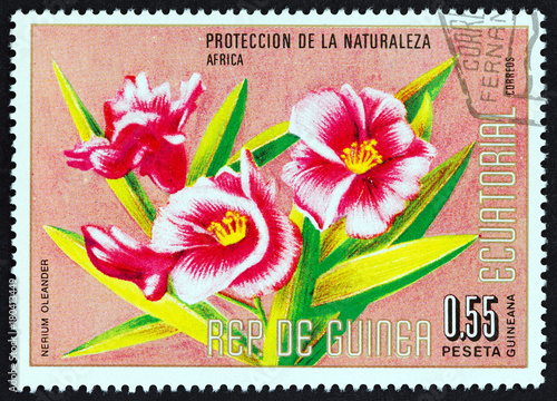 Nerium oleander (Equatorial Guinea 1976) photo