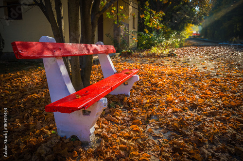 Budapest, Hungary - Red bench, autumn leaves and rising sun falls on the railroad track leading through the autumn forest with train at background at Huvosvolgy photo