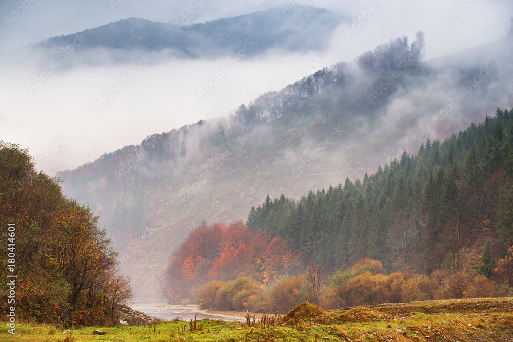 Obraz Jesień deszcz i mgła w górach. Kolorowy jesień lasowy tło