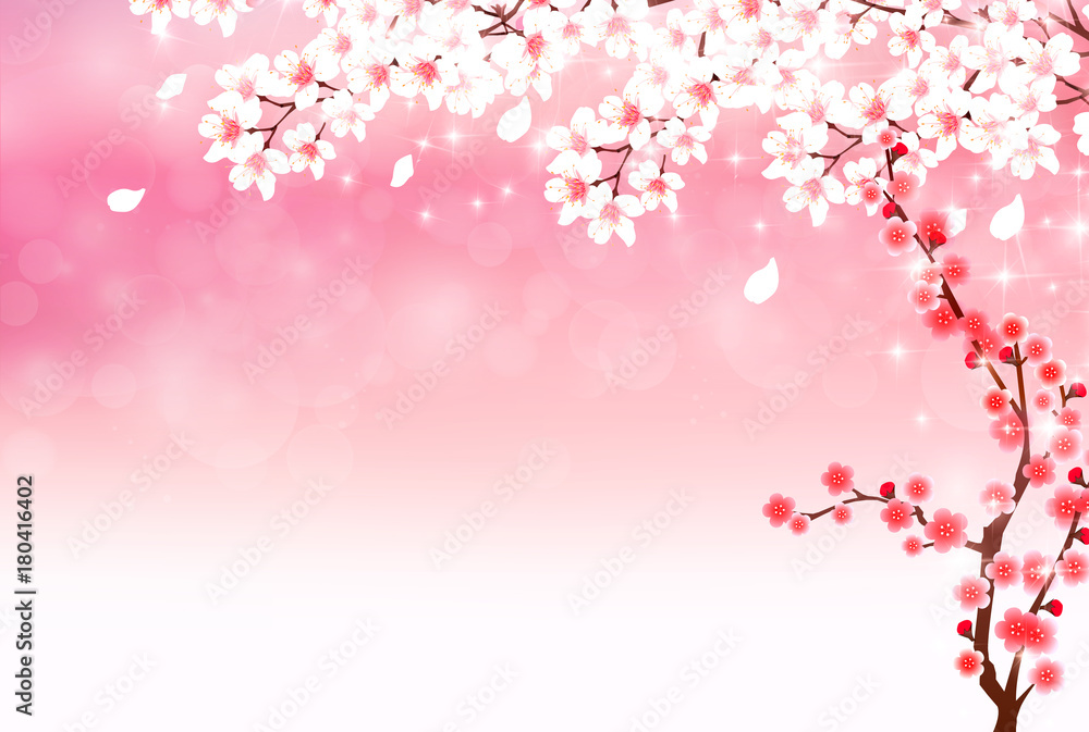 桜 年賀状 春 背景 桜 年賀状 春 背景